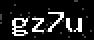 verify code