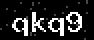verify code