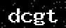 verify code